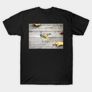 "Songbird Takes a Bow" T-Shirt